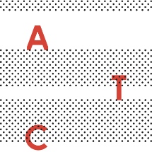 atc-sq
